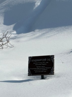 ДП Родной в Серове - serov.yutvil.ru - фото 11