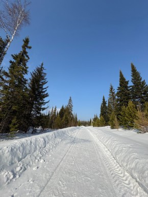 ДП Родной в Серове - serov.yutvil.ru - фото 7