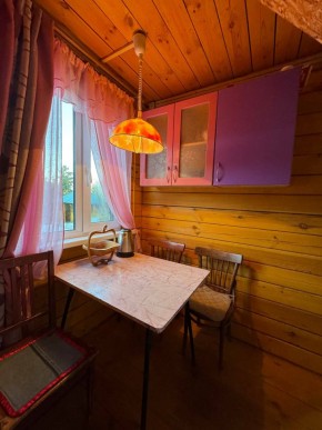 Екатеренбург сад Торгмаш, СНТ  Садовод, уч. 52 в Серове - serov.yutvil.ru - фото 4