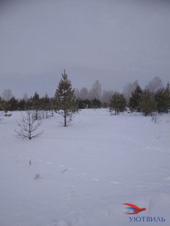 Земельный участок поселок Баженово в Серове - serov.yutvil.ru - фото 5
