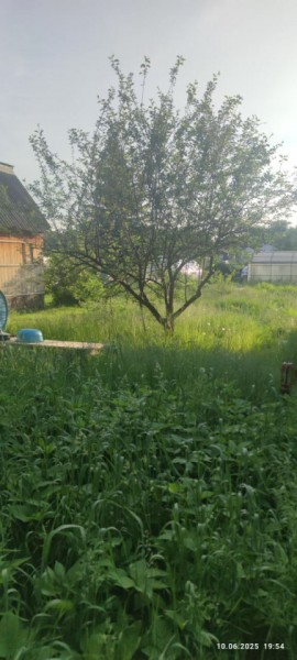 г Верхняя пышма, СНТ Мираж, уч.№ 99 в Серове - serov.yutvil.ru - фото 19