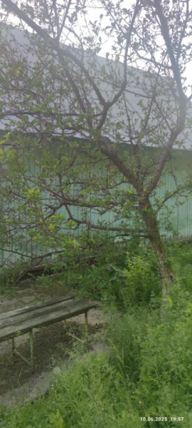 г Верхняя пышма, СНТ Мираж, уч.№ 99 в Серове - serov.yutvil.ru - фото 26