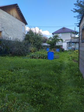 Коллективный сад номер 7, участок 58 в Серове - serov.yutvil.ru - фото 26 Коллективный сад номер 7, участок 58 в Серове - serov.yutvil.ru - фото 26