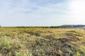 Российская Федерация, Свердловская область, Сысертский городской округ, территория садоводческого некоммерческого товарищества Бобровские дачи, улица Каштановая, земельный участок № 38 в Серове - serov.yutvil.ru - фото 24