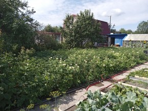 СНТ Медик-2 в Серове - serov.yutvil.ru - фото 6