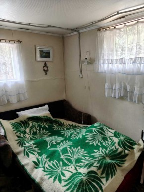 СНТ Родники в Серове - serov.yutvil.ru - фото 10 СНТ Родники в Серове - serov.yutvil.ru - фото 10