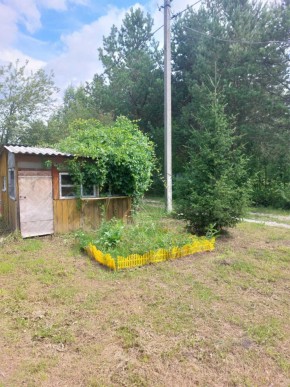 СНТ Родники в Серове - serov.yutvil.ru - фото 2 СНТ Родники в Серове - serov.yutvil.ru - фото 2