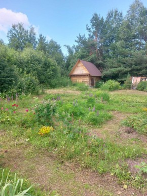 СНТ Родники в Серове - serov.yutvil.ru - фото 3 СНТ Родники в Серове - serov.yutvil.ru - фото 3