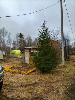 СНТ Родники в Серове - serov.yutvil.ru - фото 5 СНТ Родники в Серове - serov.yutvil.ru - фото 5