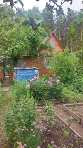 Екатеринбург, СНТ Садовод-24 в Серове - serov.yutvil.ru