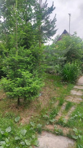 Екатеринбург, СНТ Садовод-24 в Серове - serov.yutvil.ru - фото 15
