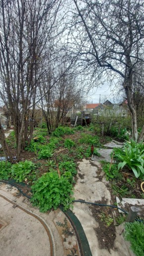 СНТ Сирень, уч. 38 в Серове - serov.yutvil.ru - фото 7