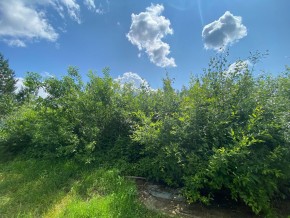СПК Юбилейный, уч. 9 в Серове - serov.yutvil.ru - фото 9