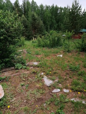 СТН Семья №112, Верхняя пышма на землях бывшего подсобного хозяйтва верхнепышминского опытного завода в Серове - serov.yutvil.ru - фото 17 СТН Семья №112, Верхняя пышма на землях бывшего подсобного хозяйтва верхнепышминского опытного завода в Серове - serov.yutvil.ru - фото 17