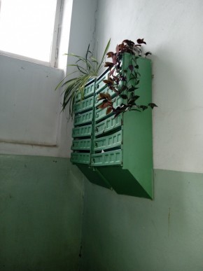 ул. Бажова,11 в Серове - serov.yutvil.ru - фото 2