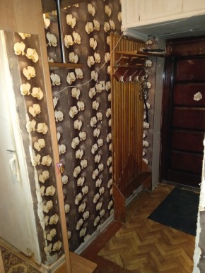 ул. Бажова,11 в Серове - serov.yutvil.ru - фото 9 ул. Бажова,11 в Серове - serov.yutvil.ru - фото 9