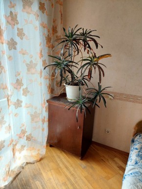 ул. Индустрии,29 в Серове - serov.yutvil.ru - фото 4