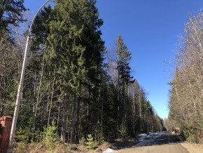ул. Калиновая,9 в Серове - serov.yutvil.ru - фото 3