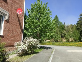 ул. Сосновая, 8 в Серове - serov.yutvil.ru - фото 25