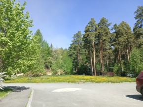 ул. Сосновая, 8 в Серове - serov.yutvil.ru - фото 26