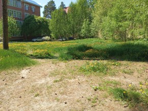 ул. Сосновая, 8 в Серове - serov.yutvil.ru - фото 33