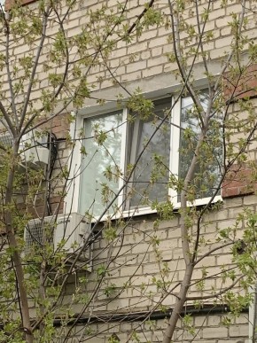 ул. Таганская,8 в Серове - serov.yutvil.ru - фото 14