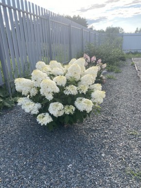 ул. Весенняя,12 в Серове - serov.yutvil.ru - фото 20